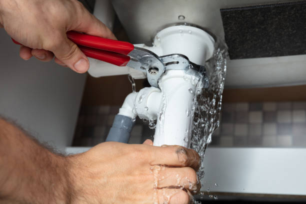 Best Flood restoration services  in Belleair Bluffs, FL
