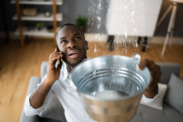 Best Carpet water damage restoration  in Belleair Bluffs, FL