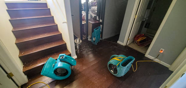 Best Professional water damage repair  in Belleair Bluffs, FL