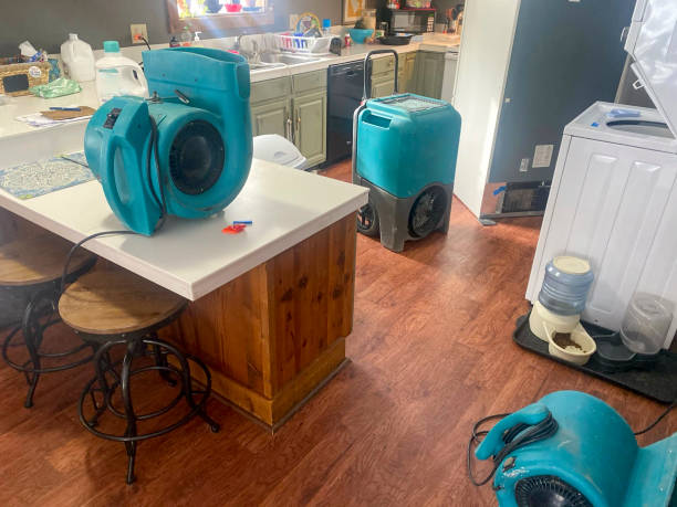 Best 24/7 water damage repair  in Belleair Bluffs, FL