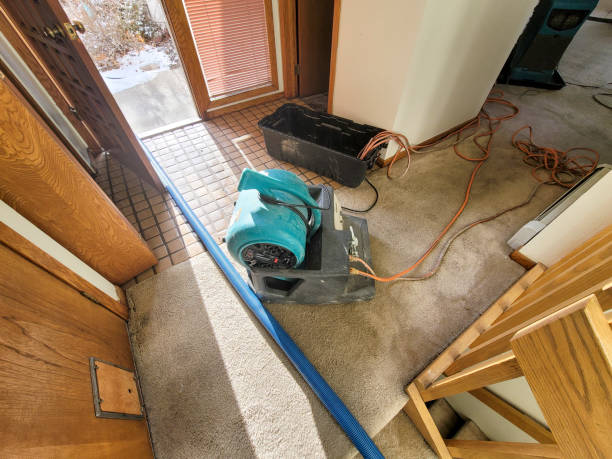 Best Commercial water damage restoration  in Belleair Bluffs, FL