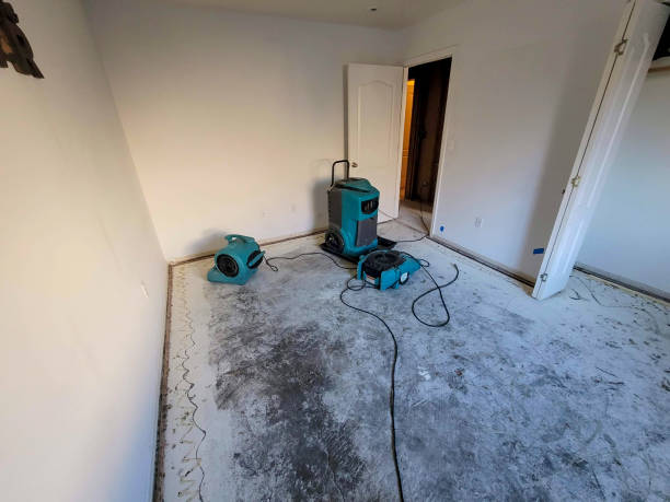 Best Water damage restoration cost  in Belleair Bluffs, FL