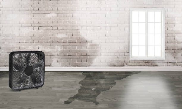 Best Commercial water damage restoration  in Belleair Bluffs, FL