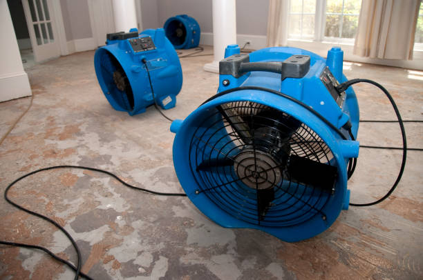 Belleair Bluffs, FL Water damage restoration Pros