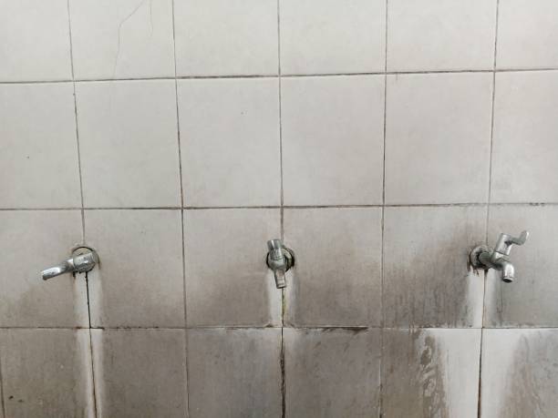 Best Emergency water extraction  in Belleair Bluffs, FL