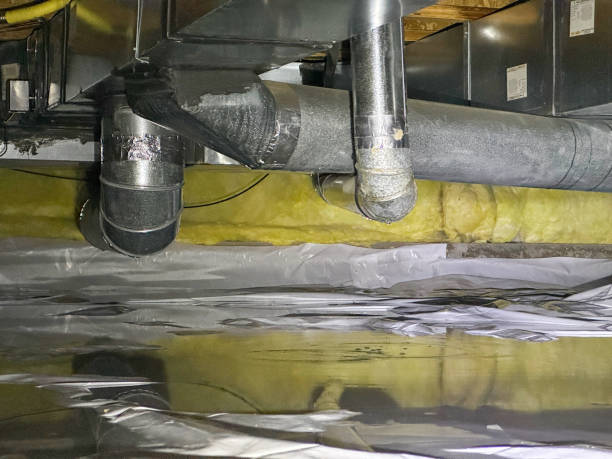 Best Water damage restoration near me  in Belleair Bluffs, FL