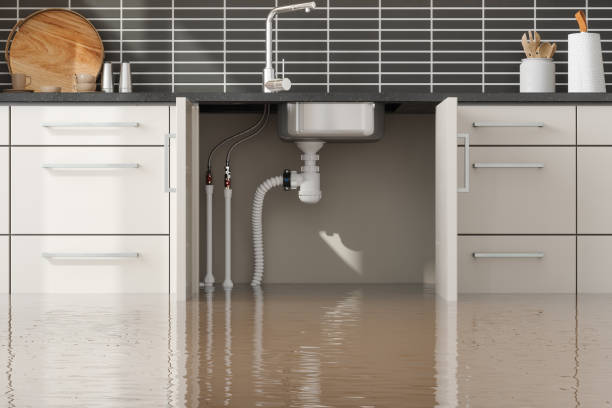 Best Water damage restoration experts  in Belleair Bluffs, FL