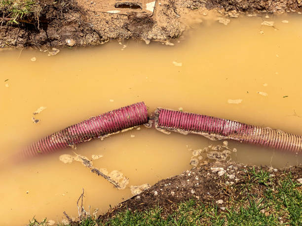 Best 24/7 water damage repair  in Belleair Bluffs, FL